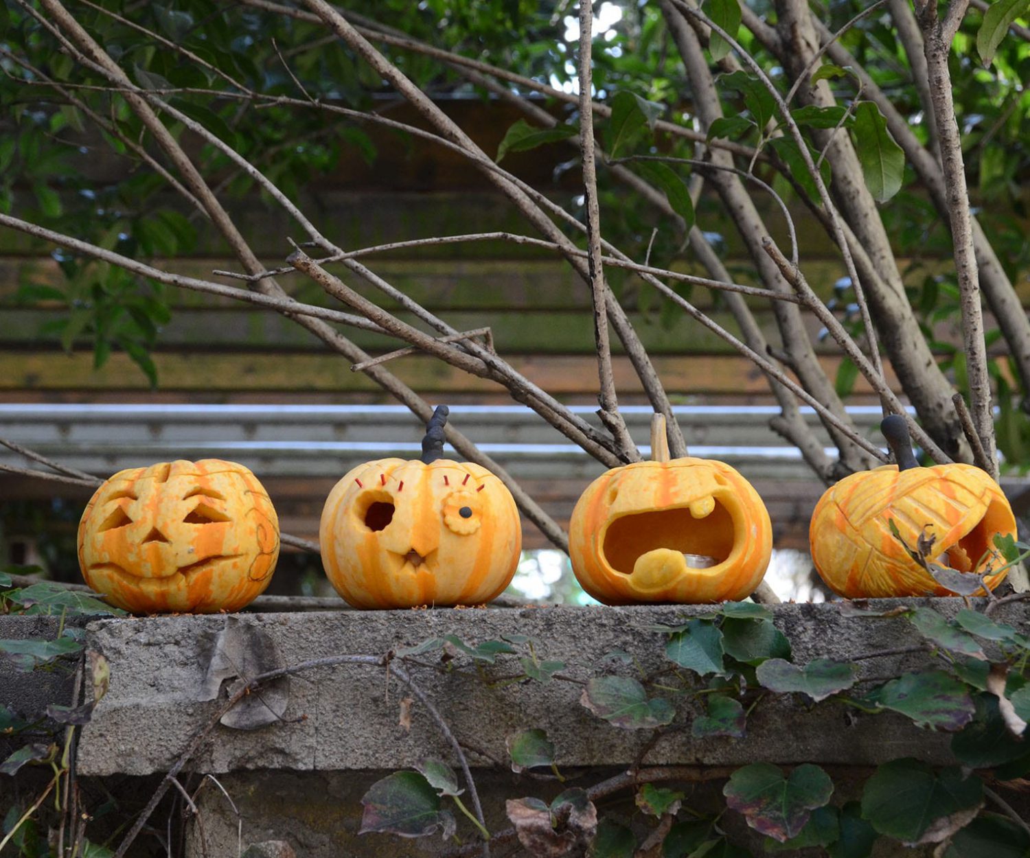 Pumpkin