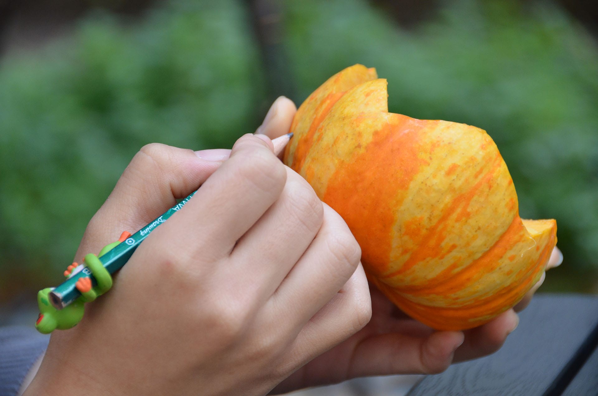 Designing on Pumpkin