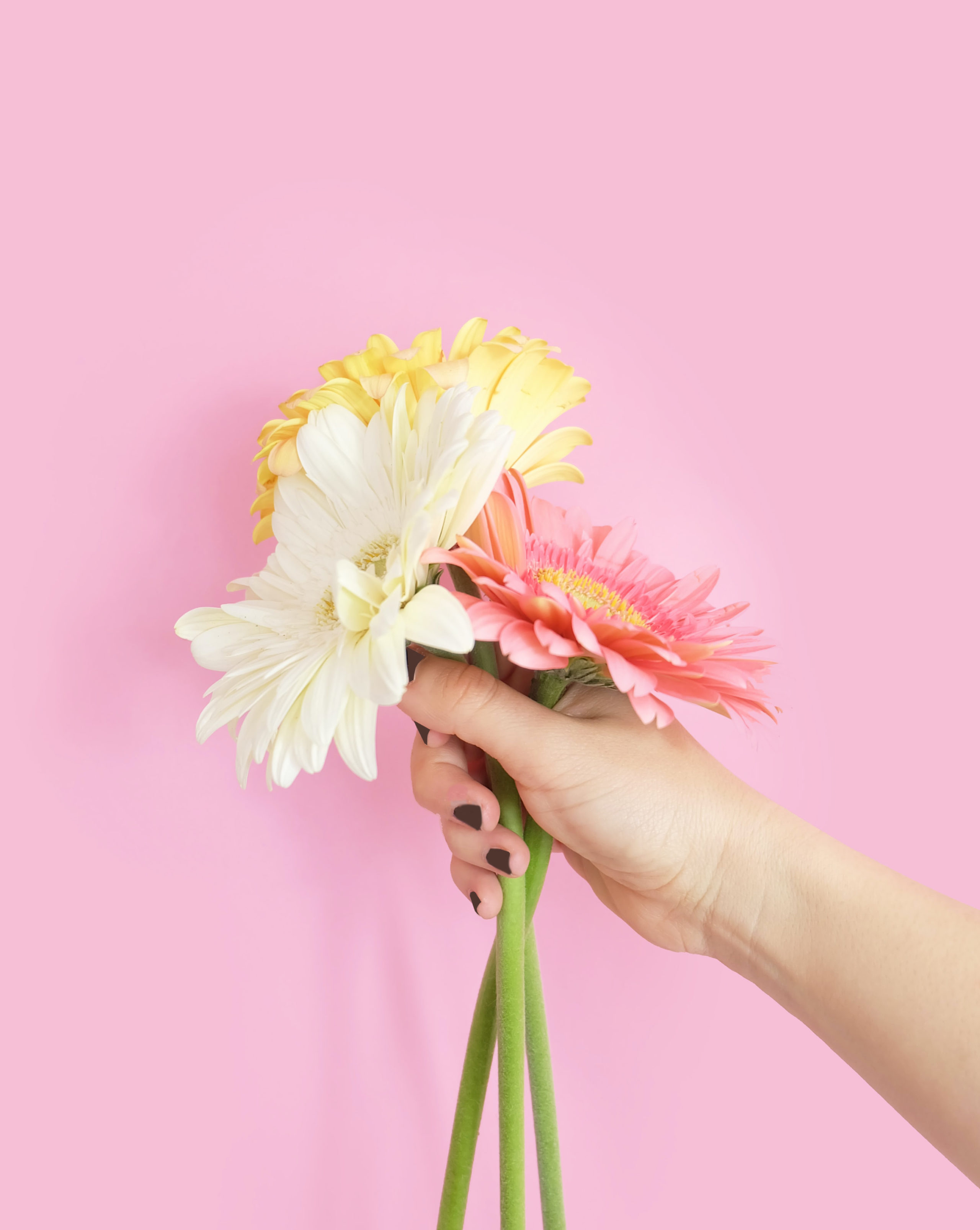 the orange blowfish creative design branding agency