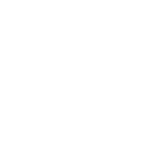 the orange blowfish creative design branding agency