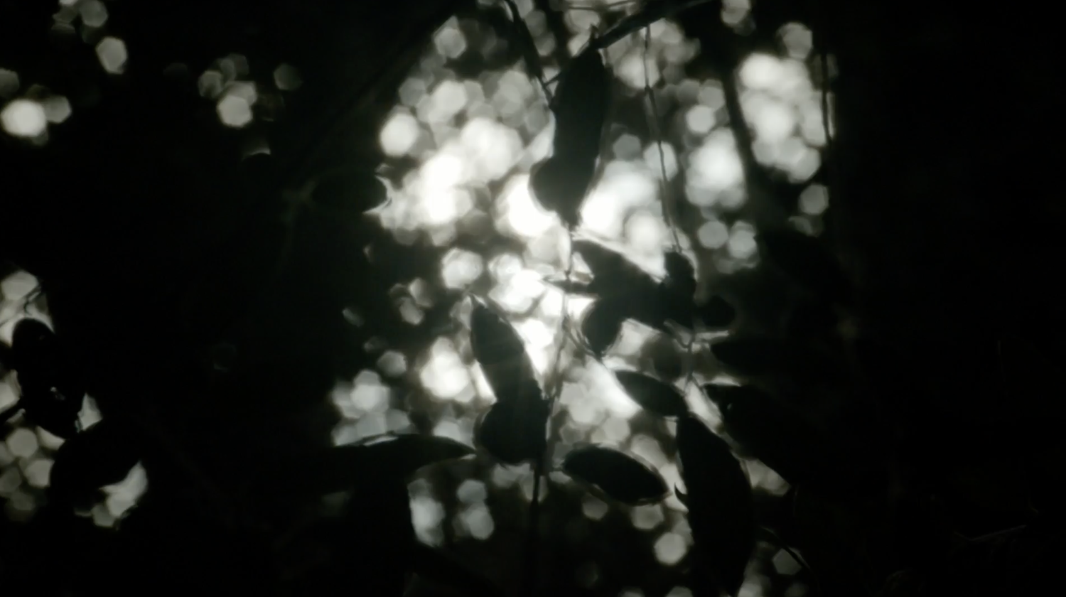 Siu Tang, Explores the Essentials for Brands to Thrive in the Post-Pandemic