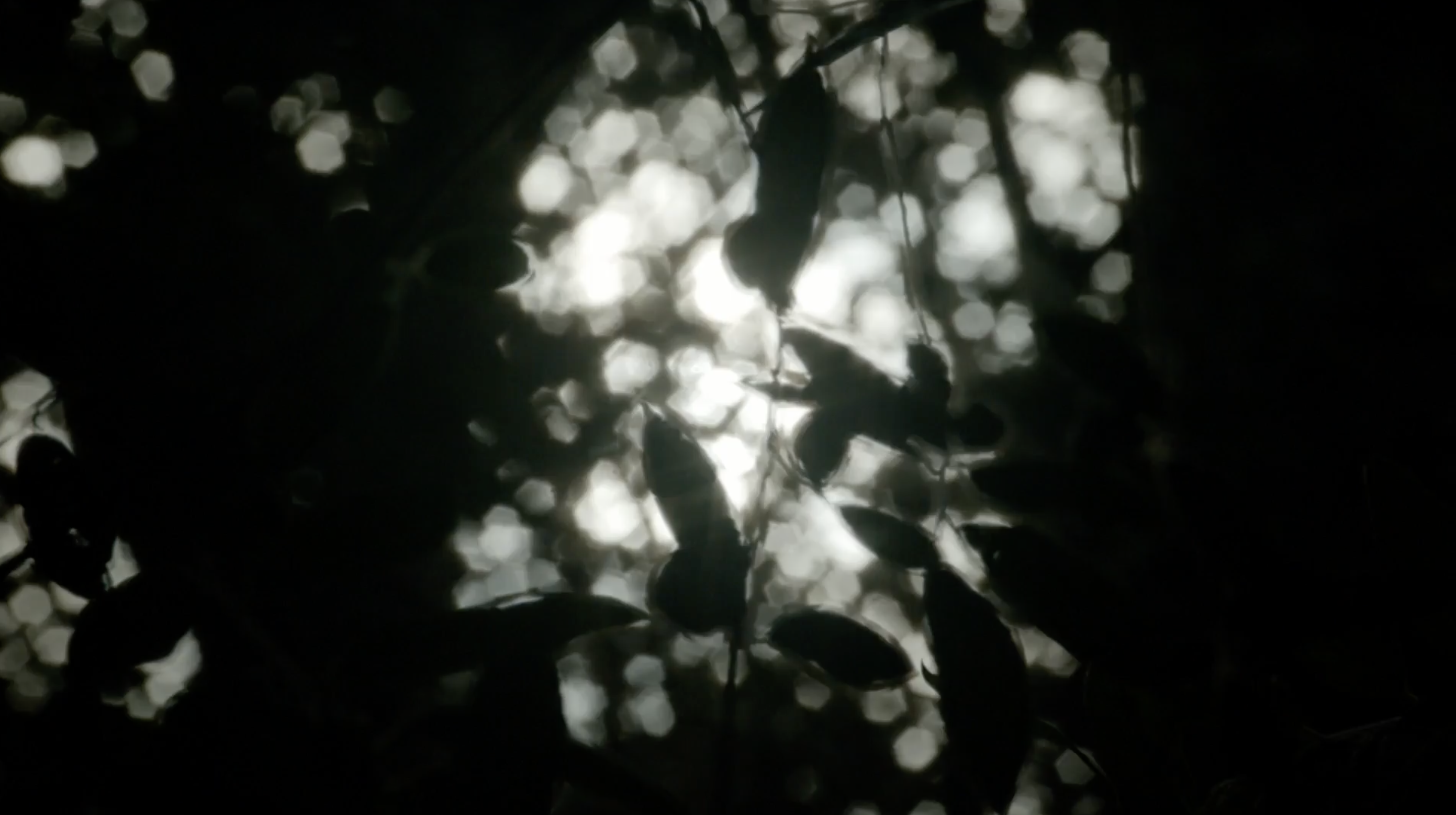 Siu Tang, Explores the Essentials for Brands to Thrive in the Post-Pandemic