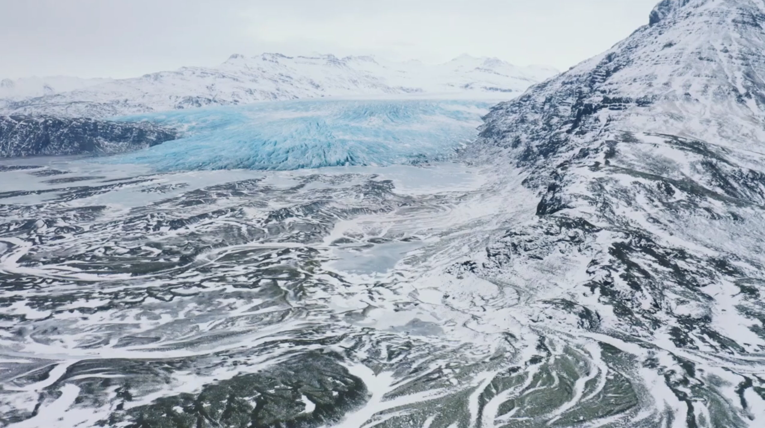 Siu Tang, Explores the Essentials for Brands to Thrive in the Post-Pandemic